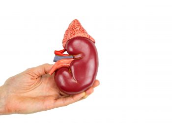 ساعدني العلاج في مشاكل الكلى