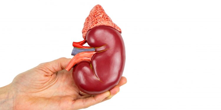 ساعدني العلاج في مشاكل الكلى