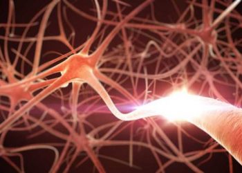 مرض باركنسون ماذا يمكن فعله