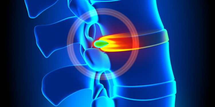 العمود الفقري