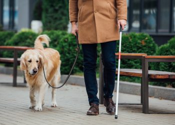 أمراض العيون الحادة كل ما هو مهم أن تعرفه ولا يزال من الممكن القيام بالتحرك النفسي باين ظريف