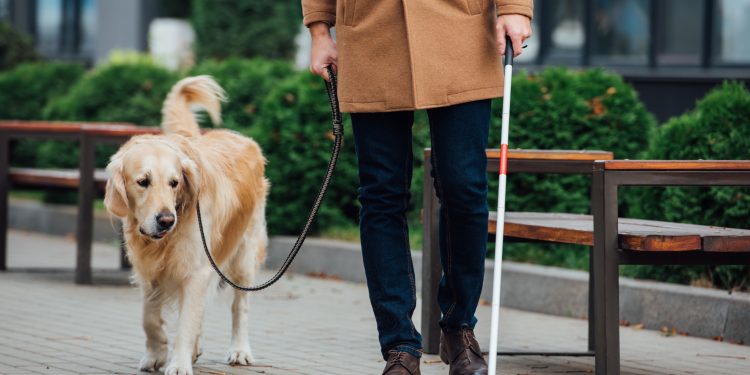 أمراض العيون الحادة كل ما هو مهم أن تعرفه ولا يزال من الممكن القيام بالتحرك النفسي باين ظريف