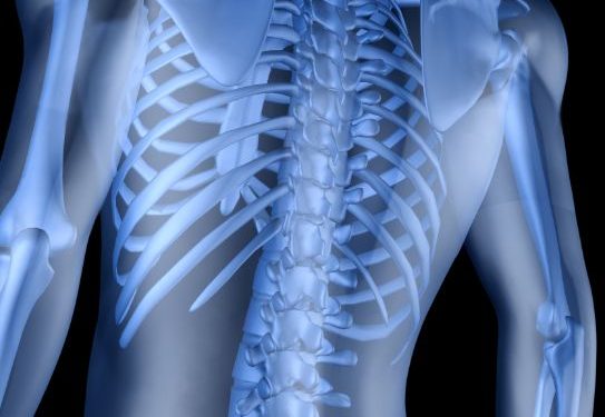 "لقد عانيت من العمود الفقري لمدة 40 عامًا – بفضل أورين ظريف أشعر بشعور رائع!" –  أورن زريف  – Oren Zarif