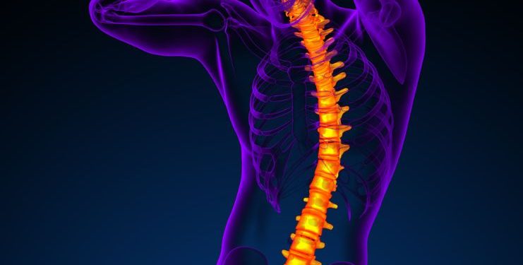 عداء الماراثون: "أورن ظريف أعاد فقرتي إلى مكانها!" –  أورن زريف  – Oren Zarif