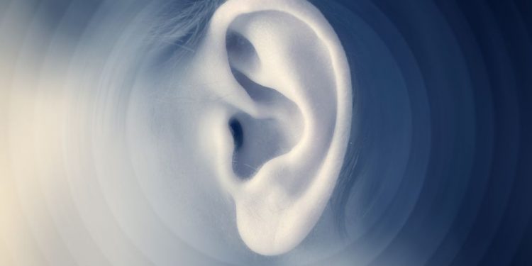 "ذهب الأز في الأذنين ، إنه لأمر مدهش!" –  أورن زريف  – Oren Zarif