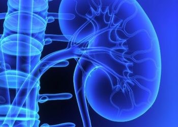 "اختفت حصوات الكلى!" –  أورن زريف  – Oren Zarif