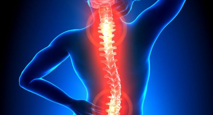 عاد المزارع للعمل في المزارع بالرغم من انفتاق 4 أقراص –  أورن زريف  – Oren Zarif