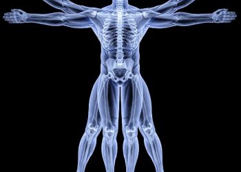 "الرصاص لم يساعدني ، فقط أورن ظريف هو الذي أزال آلامي" –  أورن زريف  – Oren Zarif