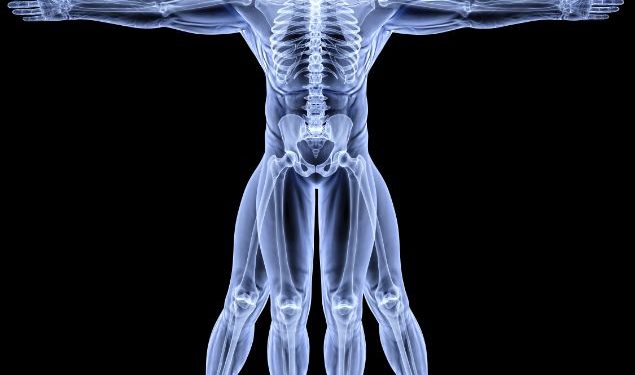 "الرصاص لم يساعدني ، فقط أورن ظريف هو الذي أزال آلامي" –  أورن زريف  – Oren Zarif