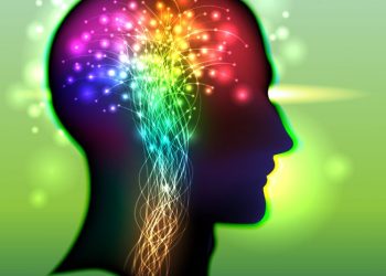 "لا كلمات في فمي ، لقد كانت معجزة!" –  أورن زريف  – Oren Zarif