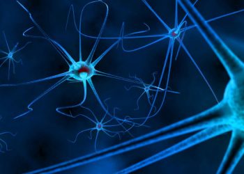 "جئت إلى أورن ظريف حطمت سفينة – وخرجت كأنها جديدة!" –  أورن زريف  – Oren Zarif