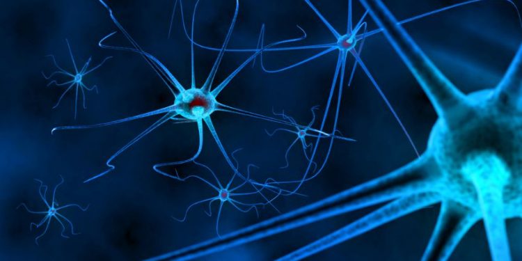 "جئت إلى أورن ظريف حطمت سفينة – وخرجت كأنها جديدة!" –  أورن زريف  – Oren Zarif