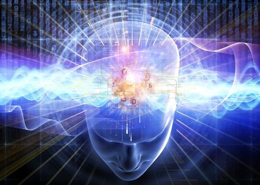 حصل أورن ظريف على شهادة تقدير من الاتحاد العالمي ليهود المغرب –  أورن زريف  – Oren Zarif