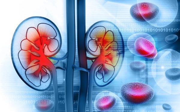 "الكلى المريضة عادت إلى وظائفها الكاملة!" –  أورن زريف  – Oren Zarif