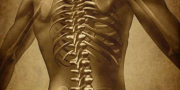 "آلام الظهر مرت بعلاج واحد!" –  أورن زريف  – Oren Zarif