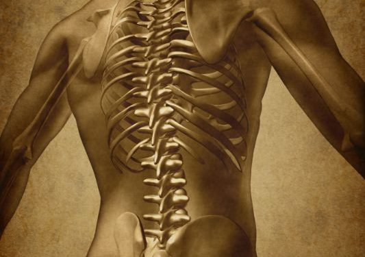 "آلام الظهر مرت بعلاج واحد!" –  أورن زريف  – Oren Zarif